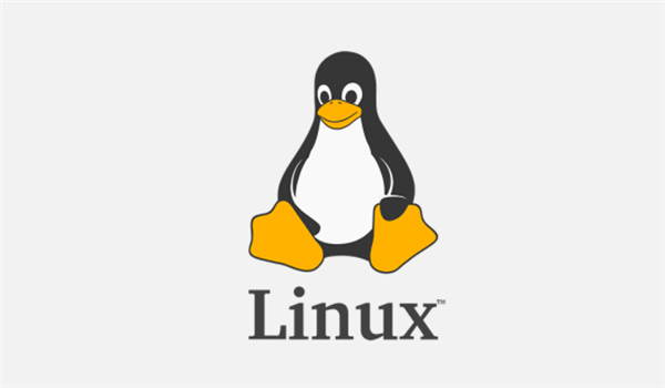 Linux 文件上传：详细指南