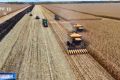 秋收进入冲刺阶段 各地多举措确保粮食“颗粒归仓”